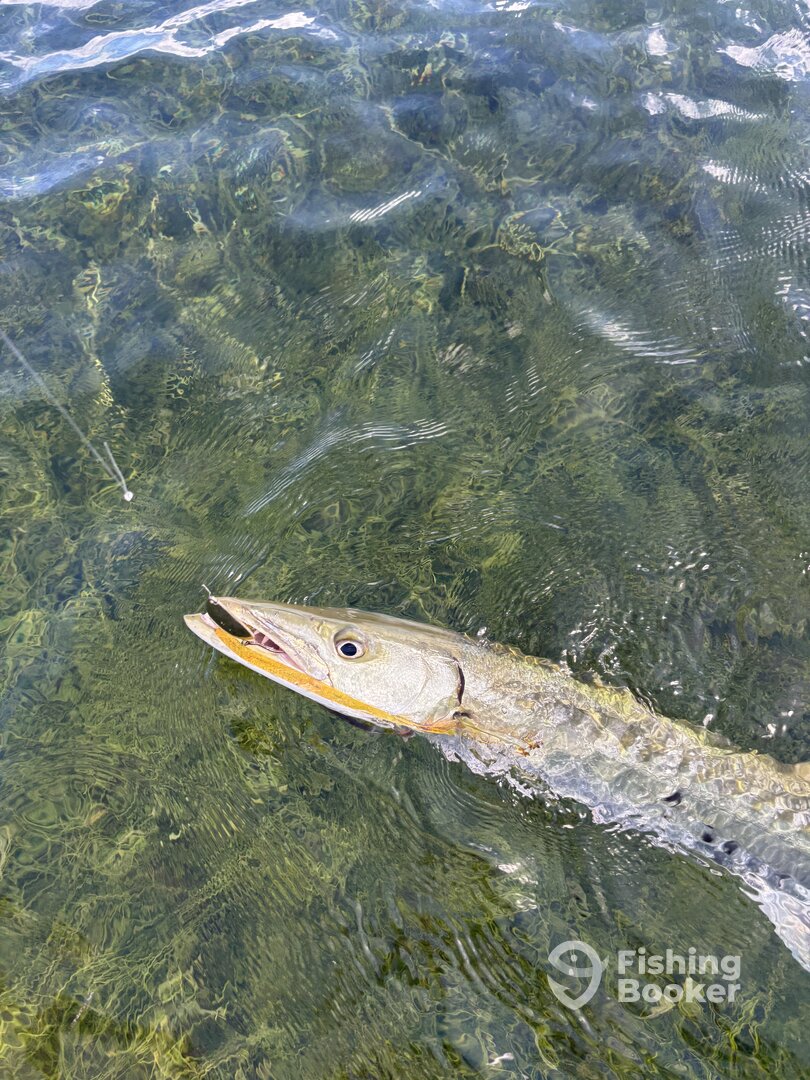 Islamorada Report Photo 0