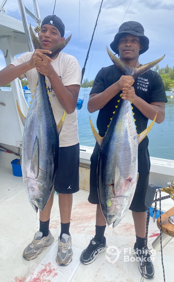 Sandys Report Photo 0