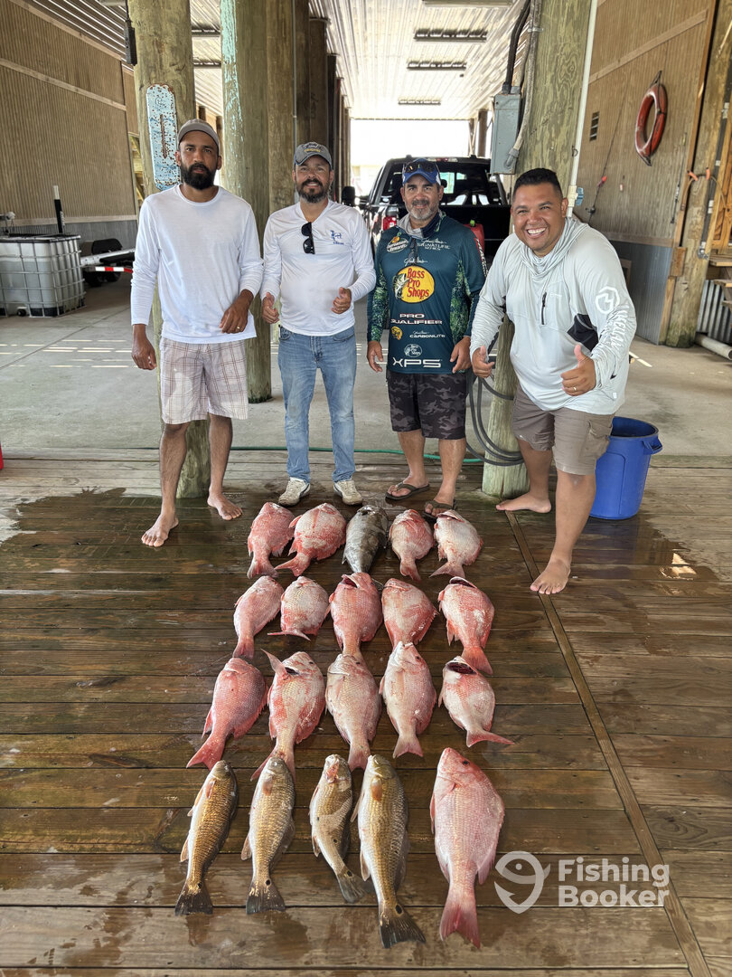 Venice Report Photo 0