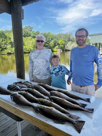 St. Bernard Report Photo 1