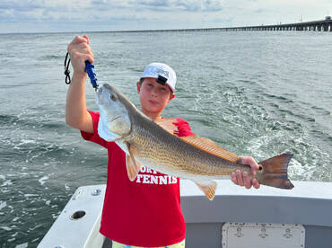 Virginia Beach Report Photo 1
