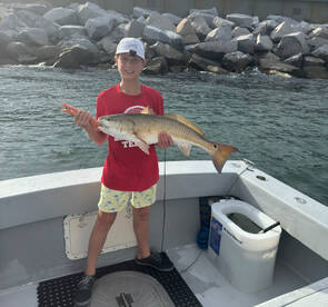 Virginia Beach Report Photo 2