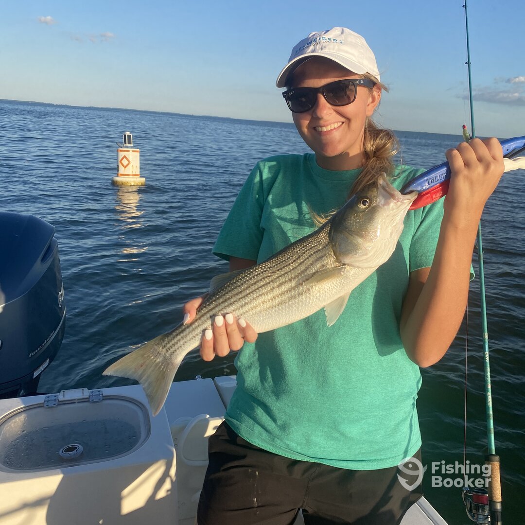 Chesapeake Bay Report Photo 0