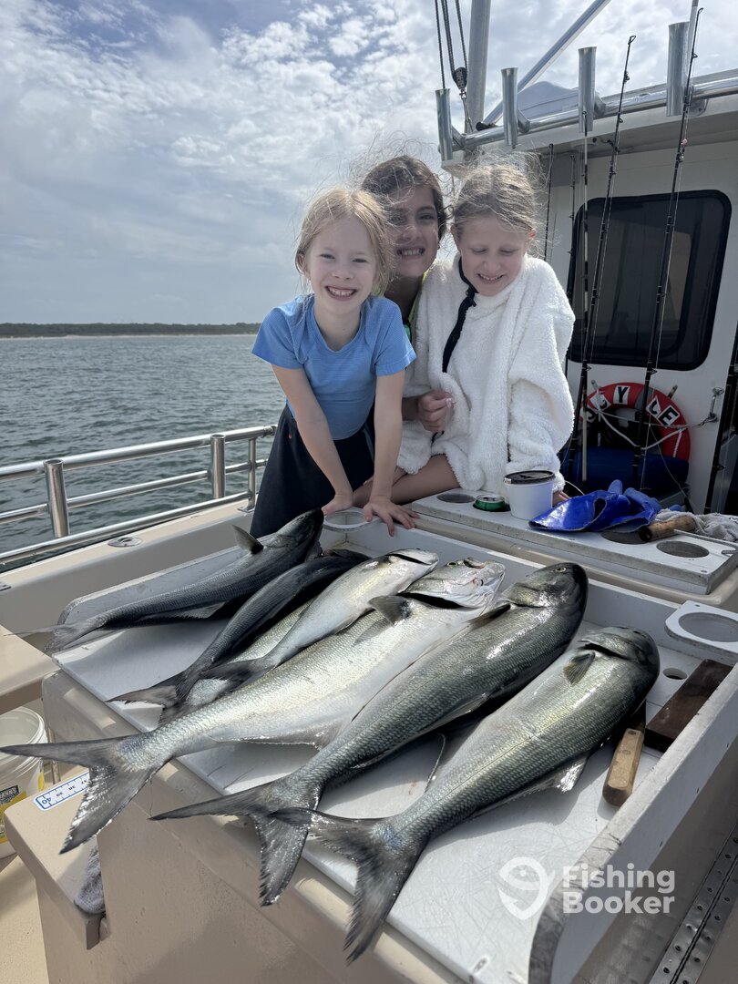 Montauk Report Photo 0