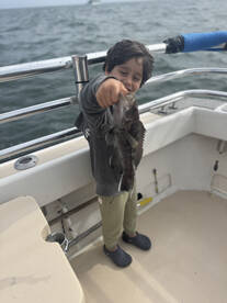 Montauk Report Photo 1