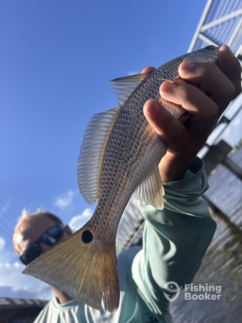 Key Largo Report Photo 0