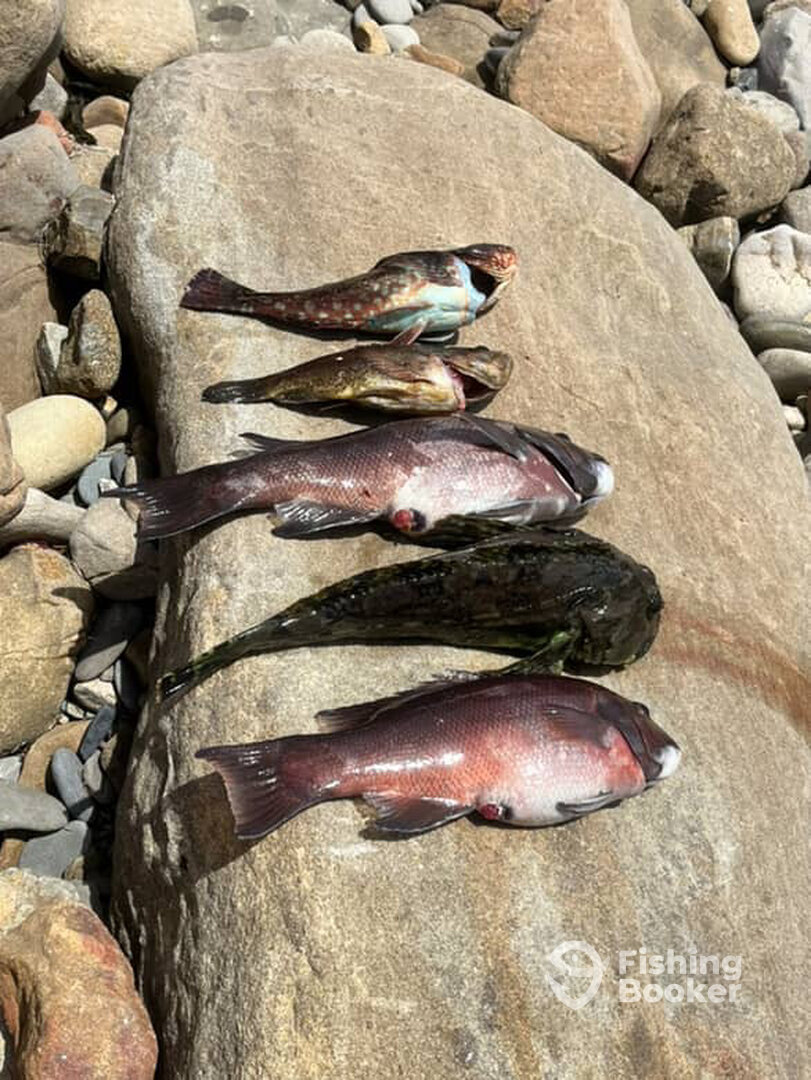 Malibu Report Photo 0