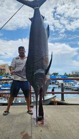 Big Marlin 