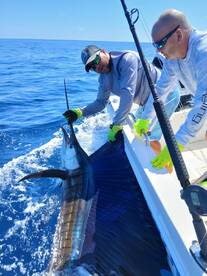 Herradura Report Photo 2