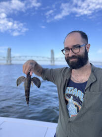 New York City Report Photo 2