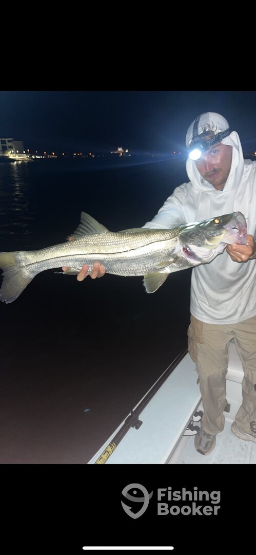 Tampa Bay Report Photo 0
