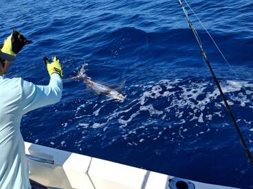 Herradura Report Photo 1