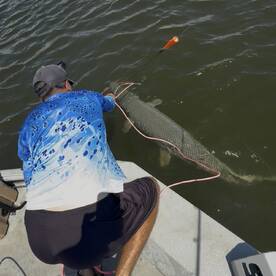 Big Fish With Ty Pig Patrol