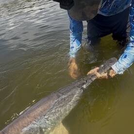 West Livingston Report Photo 2