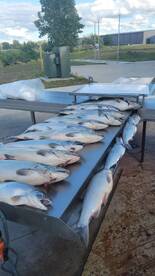 Muskegon River Report Photo 1