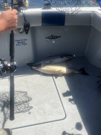Muskegon River Report Photo 1