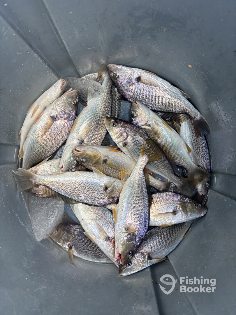Chesapeake Beach Report Photo 0