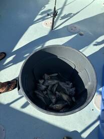 Chesapeake Beach Report Photo 1