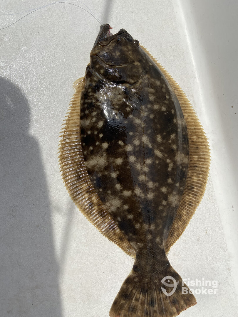 Carolina Beach Report Photo 0