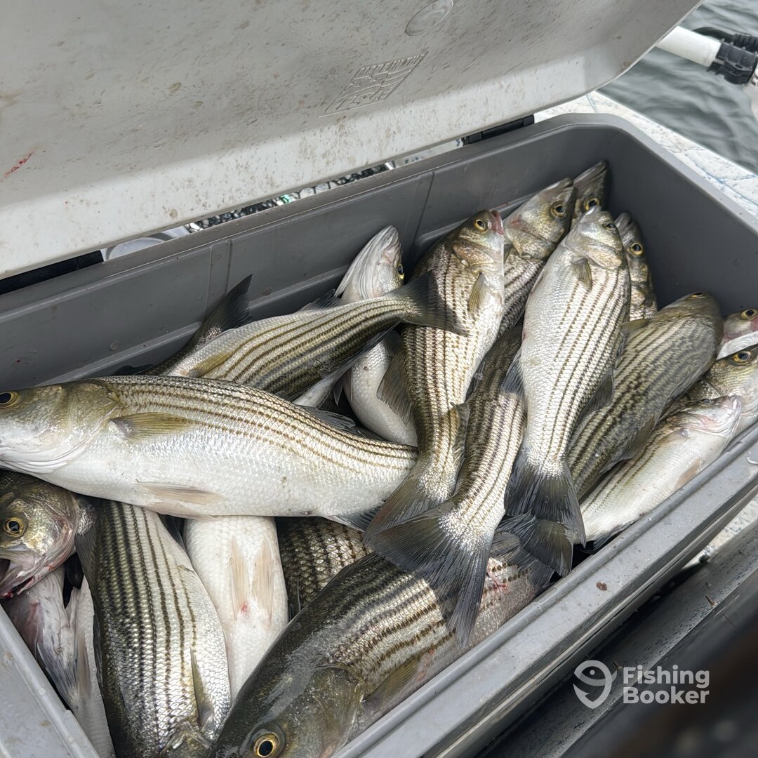 Pottsboro Report Photo 0