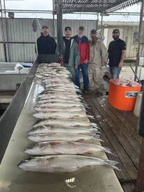Pottsboro Report Photo 1
