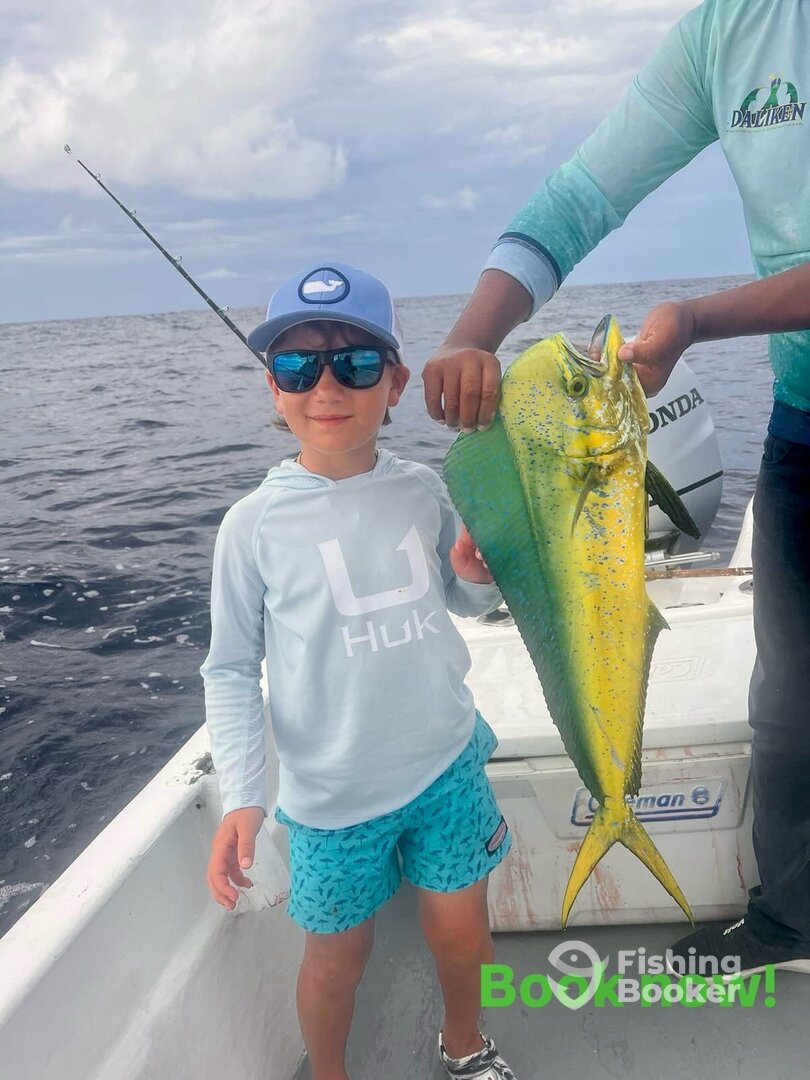San Jose del Cabo Report Photo 0