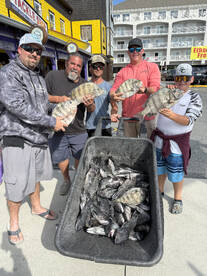 Wrecking it with a sea bass limit and ni