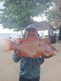 Playa Del Carmen Report Photo 1
