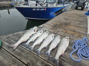 Astoria Report Photo 2