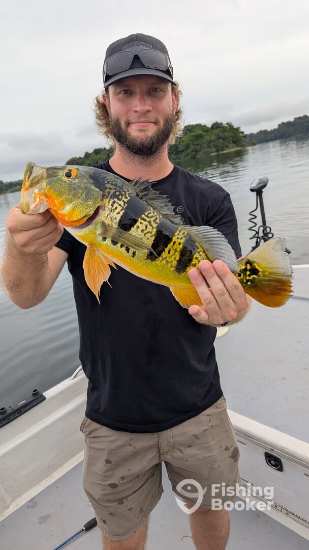 Panama Report Photo 0