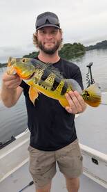 Gamboa Report Photo 1