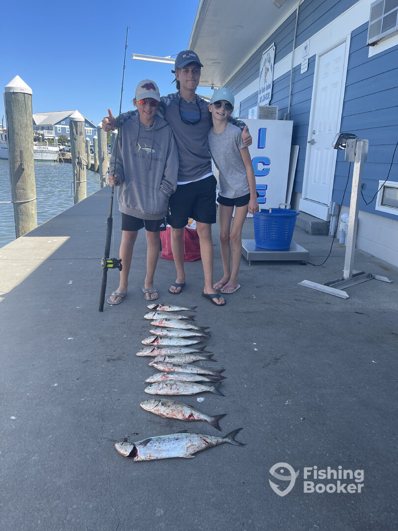 Delaware Bay Report Photo 0