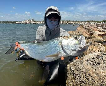 Tarpon seson