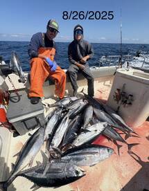 HOT BITE ALERT! Albacore are here!!!