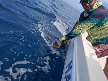 Herradura Report Photo 2