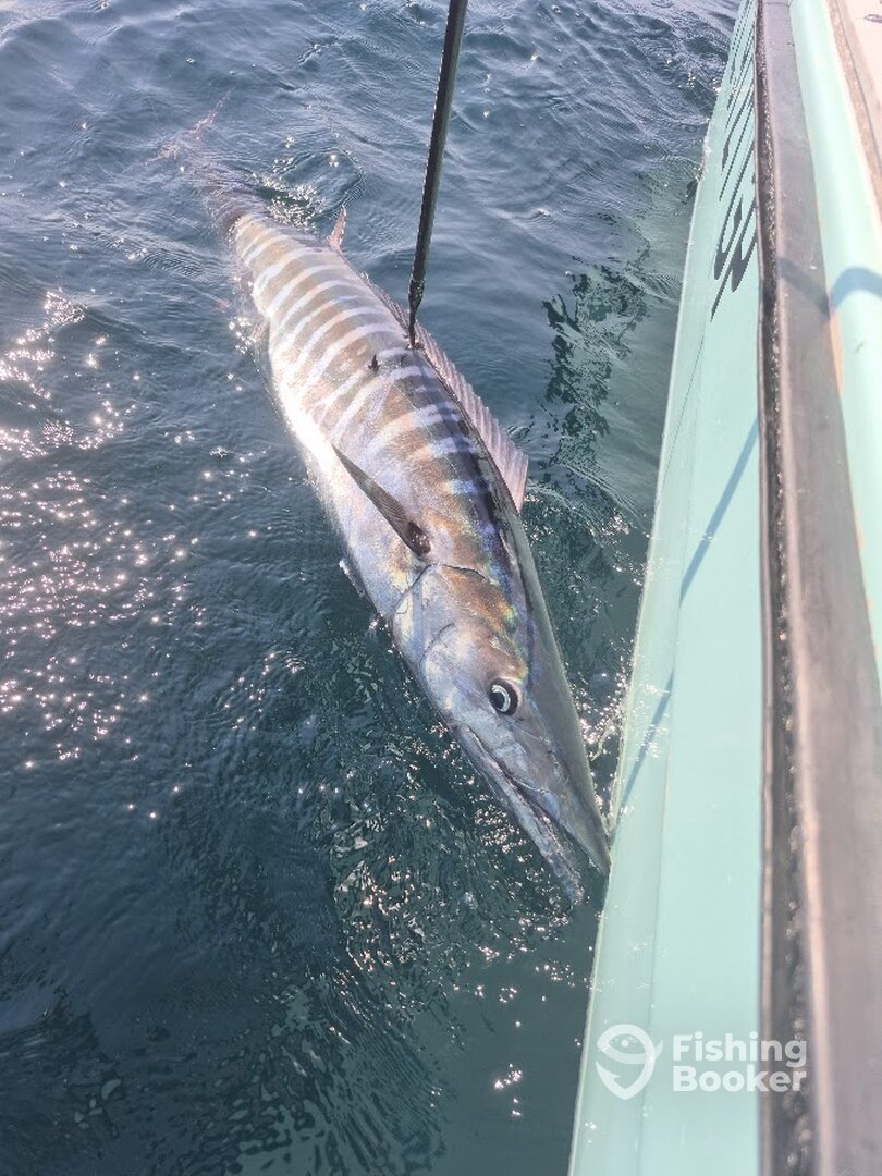 Destin Report Photo 0