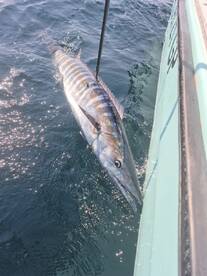 Destin Report Photo 1