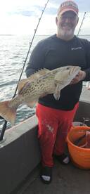 Bay County Report Photo 4