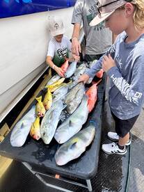 highly sought after Fish bottom fishing 