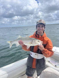 Dennis Report Photo 1