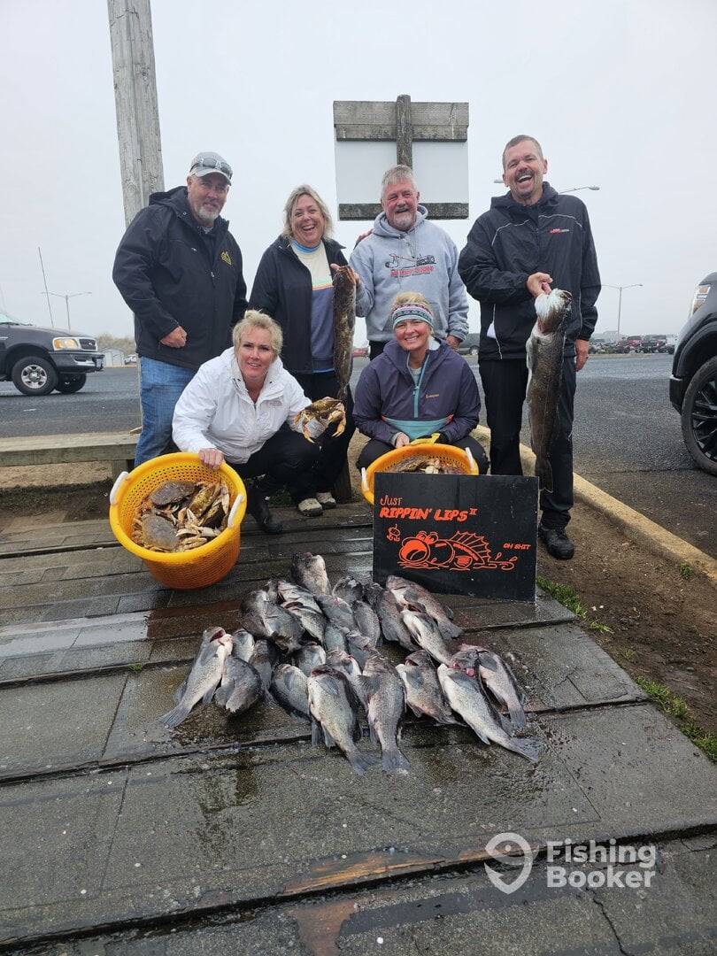 Lane County Report Photo 0
