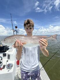 Holmes Beach Report Photo 1