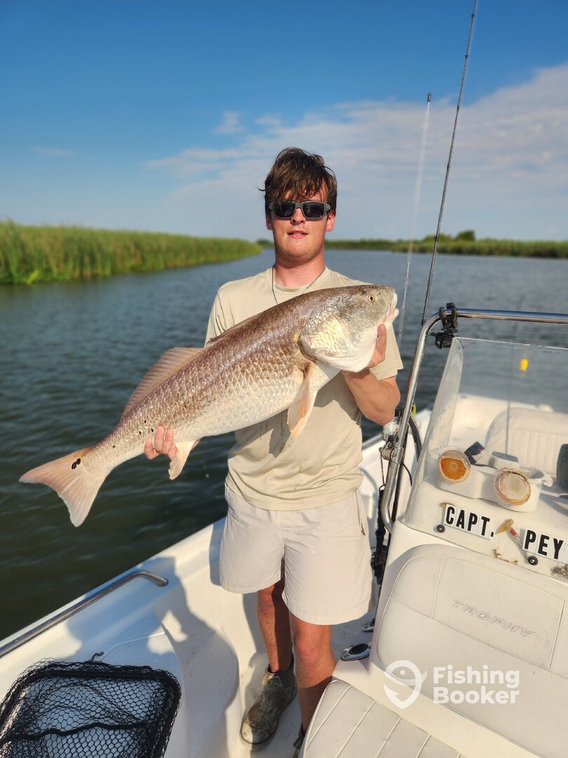 Jefferson Parish Report Photo 0