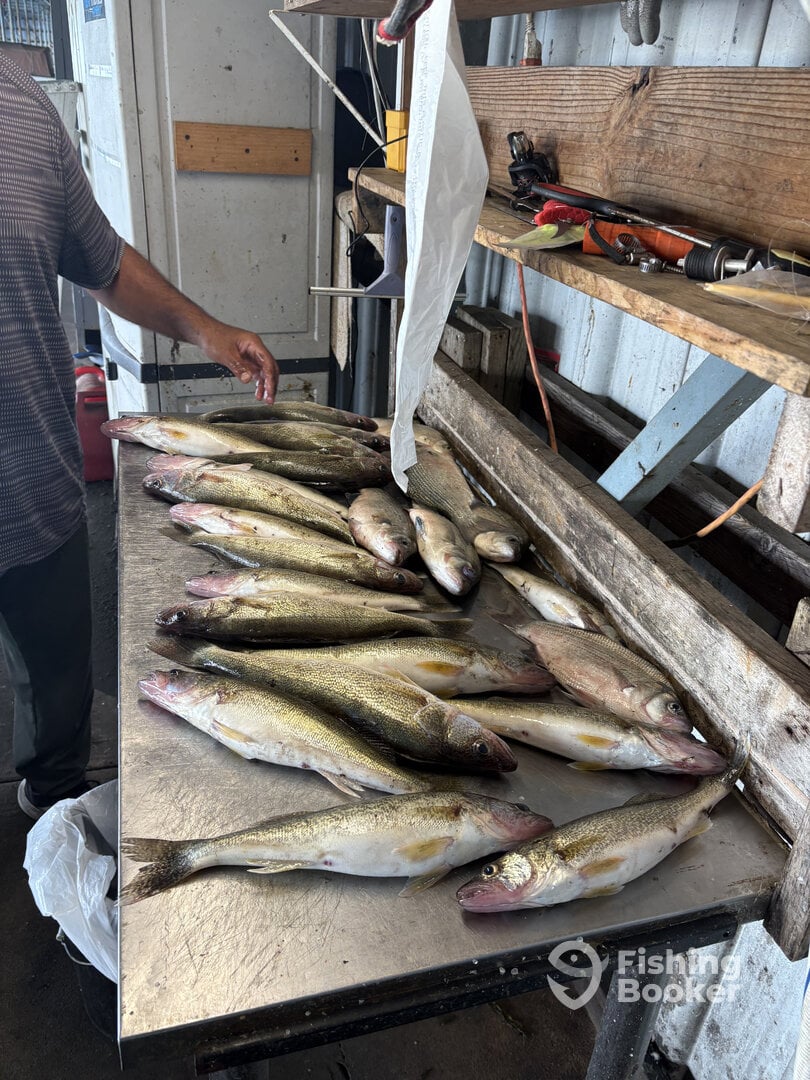 Lake Erie Report Photo 0