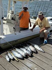 Belleair Bluffs Report Photo 4