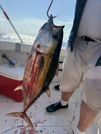Belleair Bluffs Report Photo 1