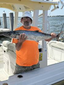 Belleair Bluffs Report Photo 2