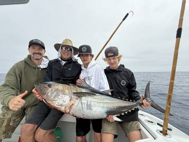 Bluefin Tuna