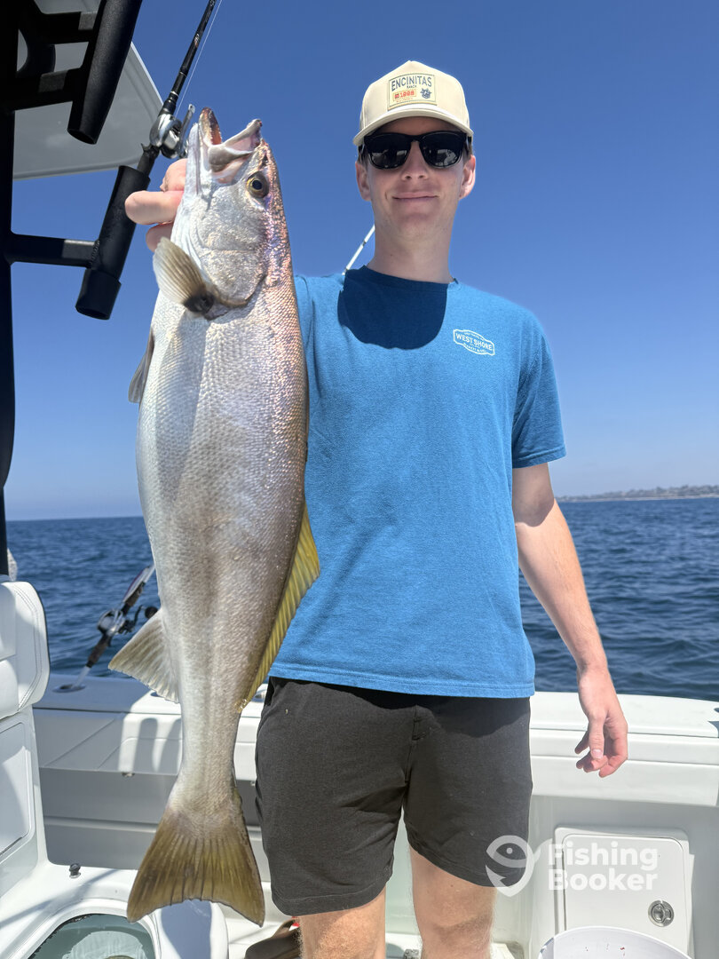 Oceanside Report Photo 0