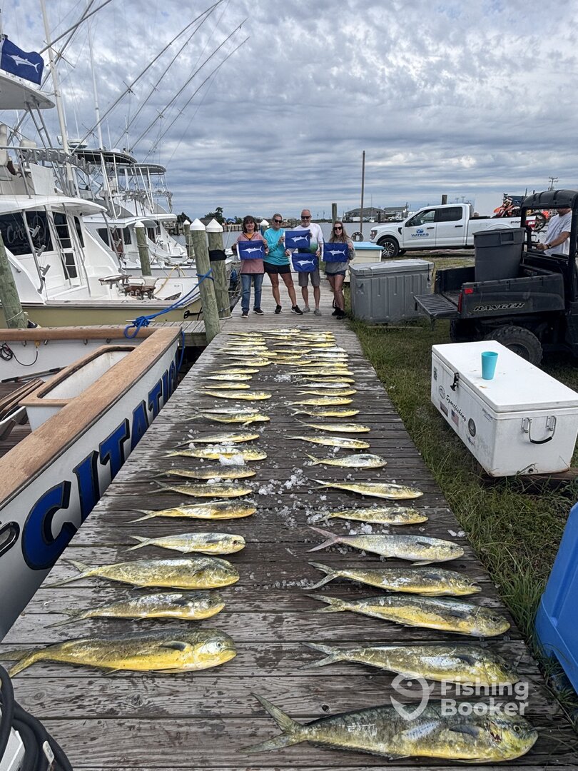 Manteo Report Photo 0